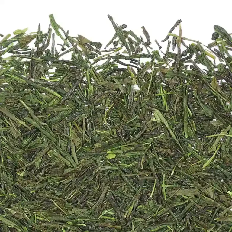 برگ سوزنی و براق چای سبز گیوکورو