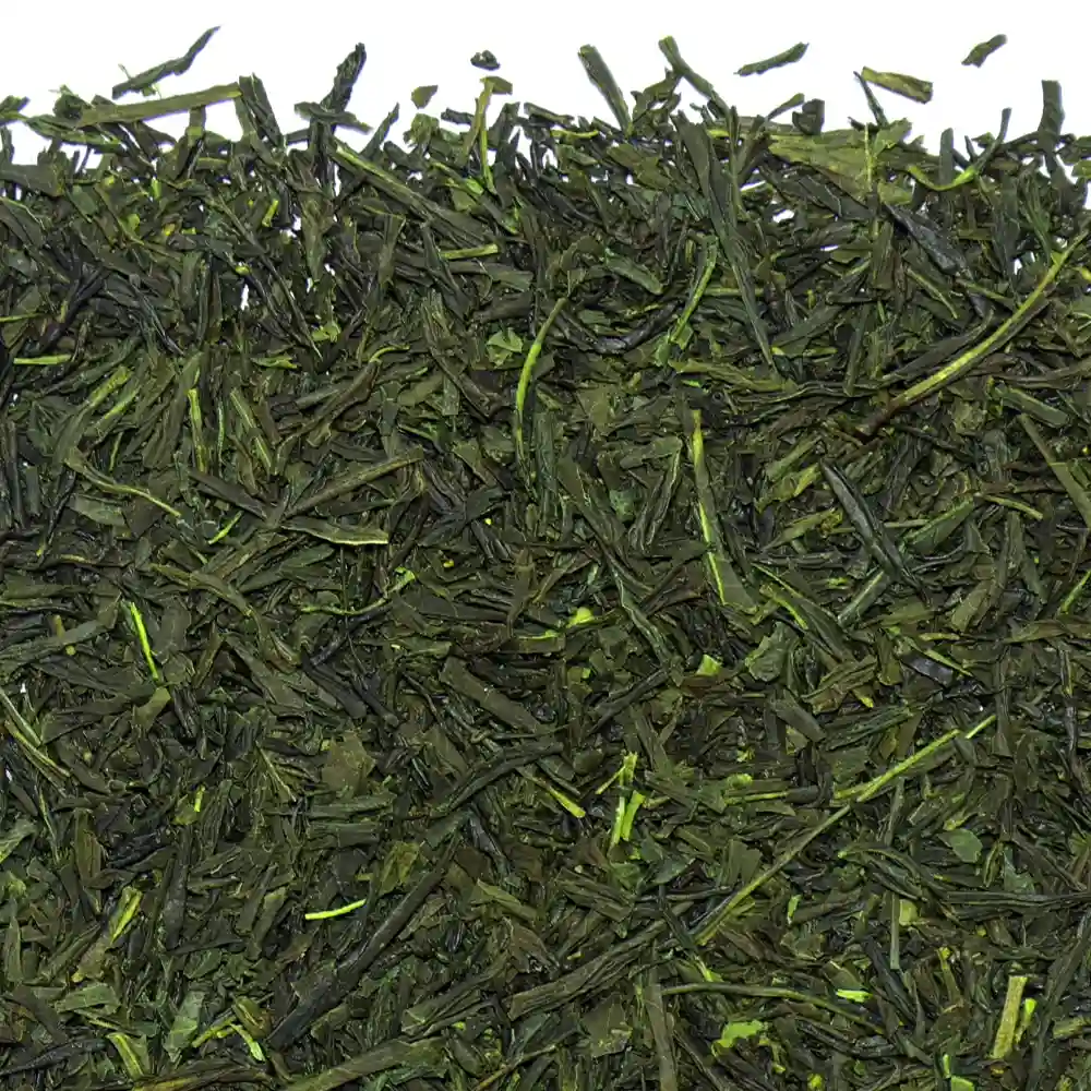 برگ سوزنی چای سبز سنچای ژاپن